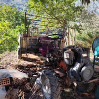 Motozappa con carrello