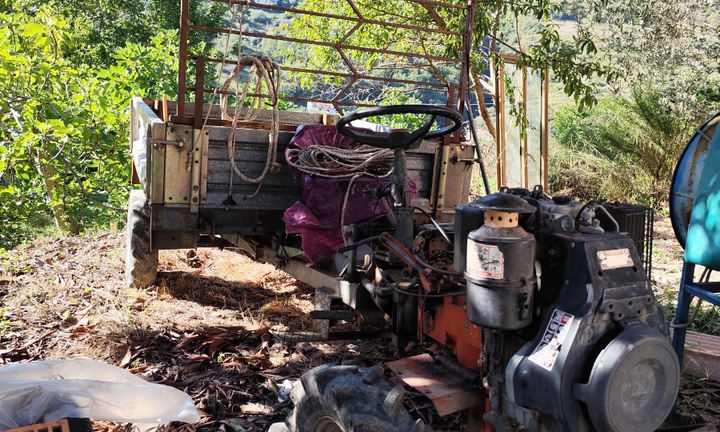 Motozappa con carrello