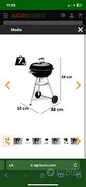 Barbecue Weber a carbone