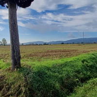 Terreno Agricolo Lucignano (Ar)