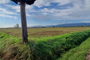 Terreno Agricolo Lucignano (Ar)