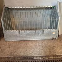 Gabbia per cani