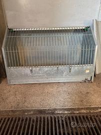 Gabbia per cani