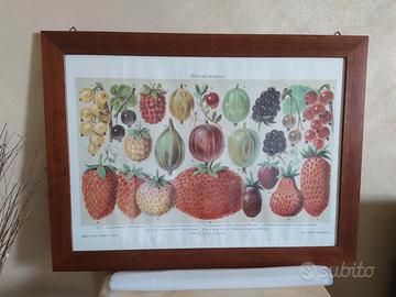 3 quadri stampe grafiche Tassotti