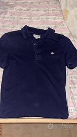 polo lacoste