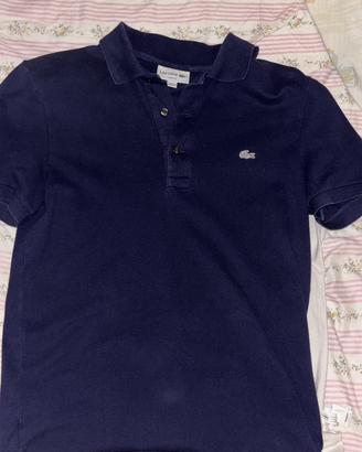 polo lacoste
