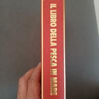 La pesca in mare" – Renzo Portalupi