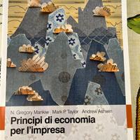 Principi di economia per l'impresa