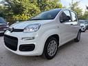 fiat-panda-1-0-s-s-hybrid-4-posti