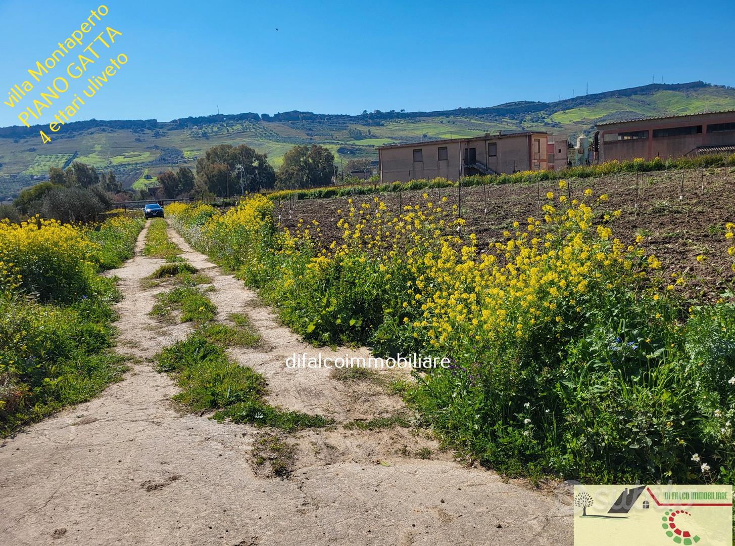 House in Agrigento, Montaperto - Vista 4