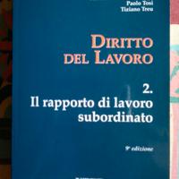 Diritto del Lavoro - 2. Il rapporto di lavoro subo
