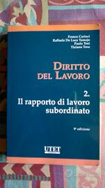 Diritto del Lavoro - 2. Il rapporto di lavoro subo