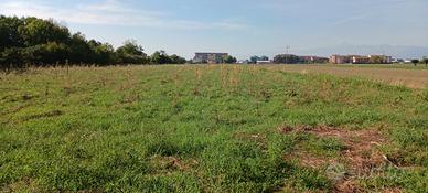 Terreno agricolo RIVALTA di TORINO