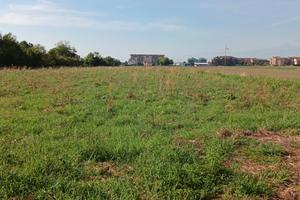Terreno agricolo RIVALTA di TORINO