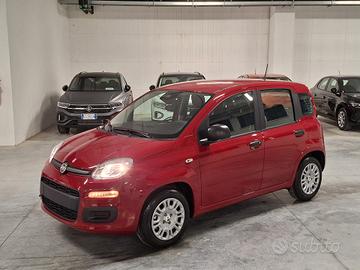 Fiat Panda 1.0 FireFly Hybrid 70CV Icon Km.0 (414)
