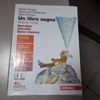 libro UN LIBRO SOGNA 9788808674340