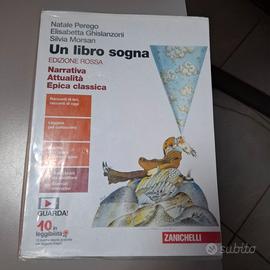 libro UN LIBRO SOGNA 9788808674340