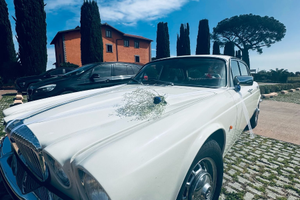 Jaguar daimler