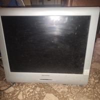 video / monitor per pc