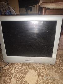 video / monitor per pc