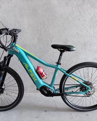 ALPEK Nitro Electric Mountain Bike