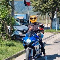 SUZUKI GSX-R 1000    2010