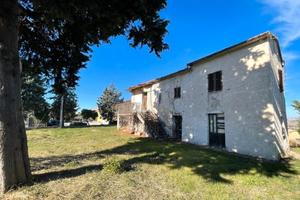 La tela bianca che volevi