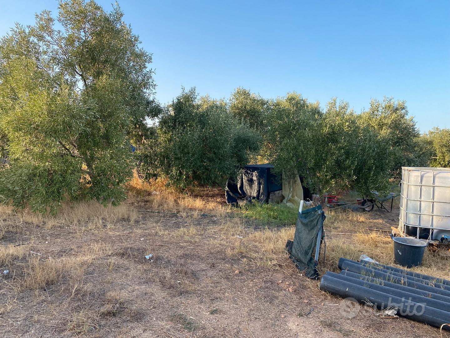 Terreno Agricolo - Vista 3