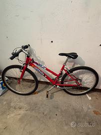 Bicicletta da ragazzo