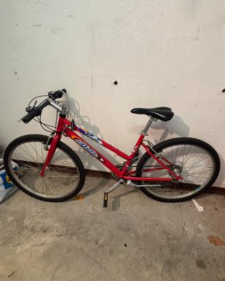 Bicicletta da ragazzo