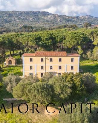 Tempio | Bassacutena - Campo Rotondo | Casa di c