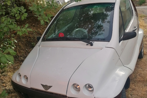 Minicar ginko victoria