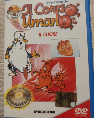DVD video il corpo umano