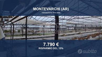 Immobile in asta di 19930 m² a Montevarchi