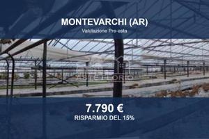 Immobile in asta di 19930 m² a Montevarchi