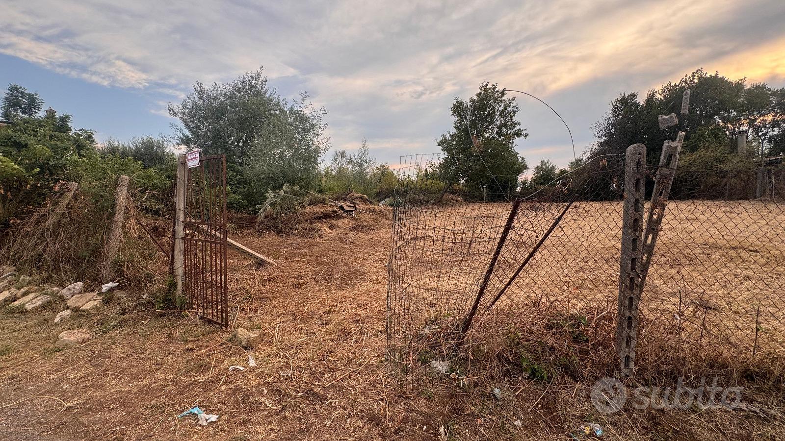 Terreno agricolo Agro Romano - Vista 4