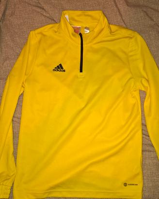 Felpa adidas gialla