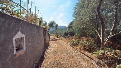 Villacidro Terreno con Ricovero Attrezzi