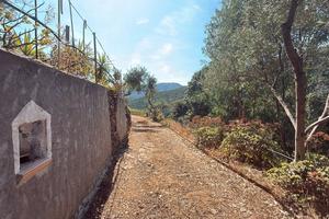 Villacidro Terreno con Ricovero Attrezzi