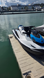 Moto sea doo pro fish