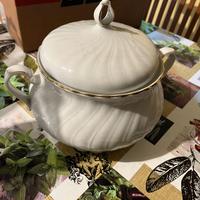 Zuppiera inglese Seltmann Weiden Regina