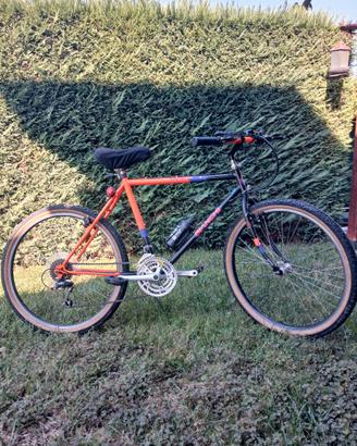 MTB Bianchi anni 90