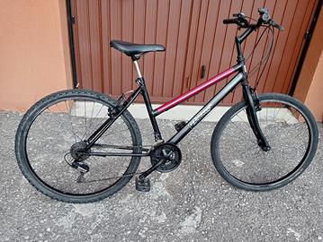 MTB ragazzo o donna 