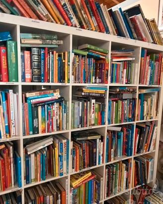 Lotto stock 20 libri romanzi misti