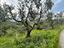 Immagine 8
