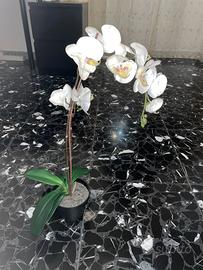 Pianta artificiale in vaso Orchidea bianco 12 cm