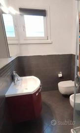 mobile bagno completo di specchiera e lavandino bi