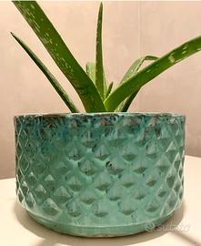 Vaso fiori