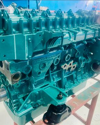 Volvo Penta D4 D6 GARANZIA