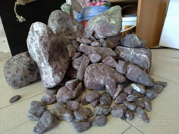 Rocce e sassi per ciclidi